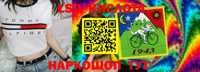 СК Донской
