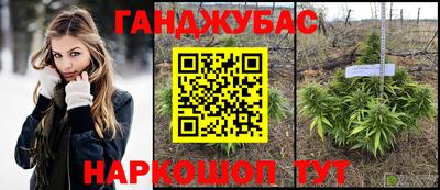 СК Донецк