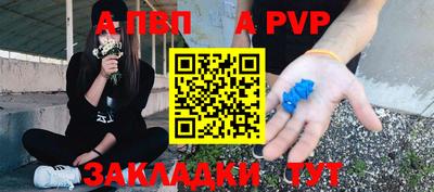 СК Донской
