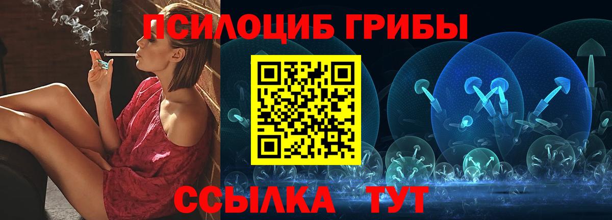 Галлюциногенные грибы MAGIC MUSHROOMS  Галлюциногенные грибы Magic Shrooms  Вход с VPN  Мытищи 
